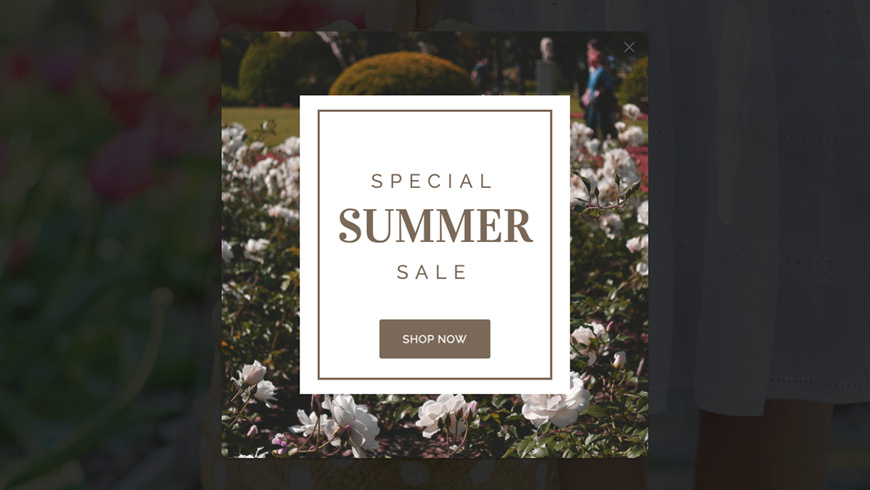 Summer sale popup example