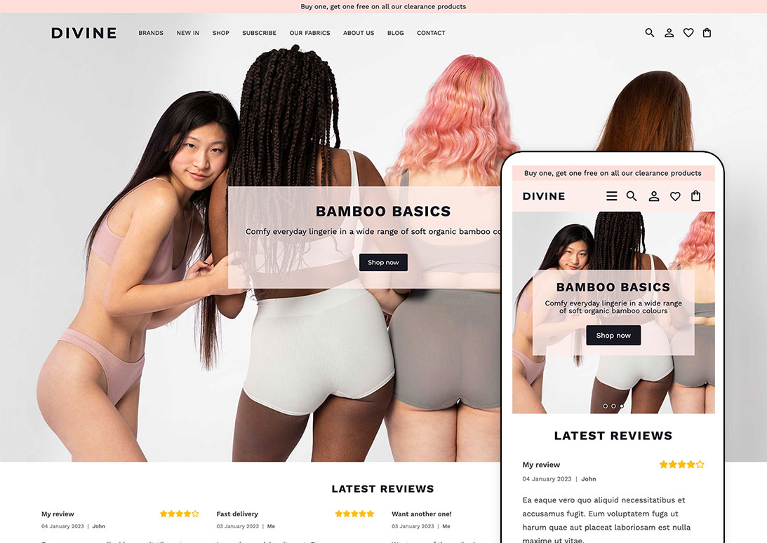 Buy Lingerie website Template business opportunity for sale